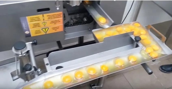 最も売れているSUS304卵分離機 卵砕機 液体卵加工ライン